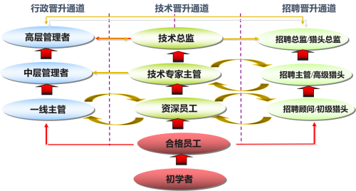 【罗勒网】猎头顾问的在猎头公司的三种职业发展晋升通道！